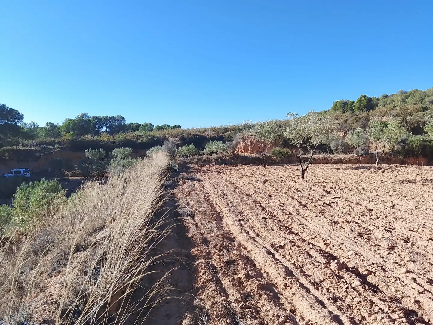 Terreny rústic en venda a Tibi, imagen 19