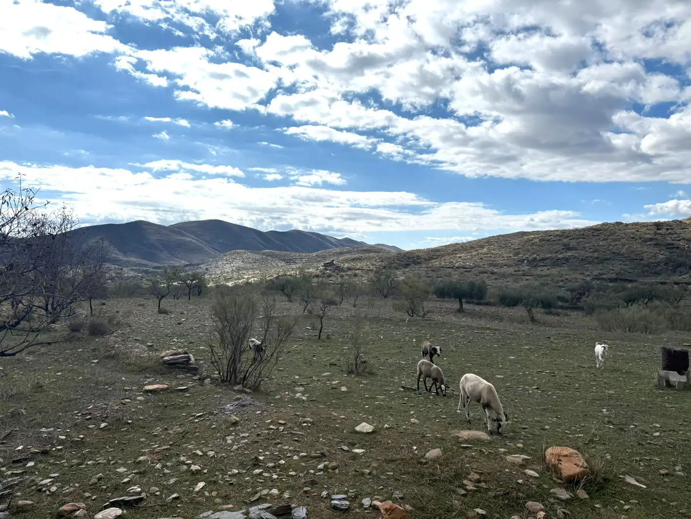 Rural land for sale in Senés, imagen 8
