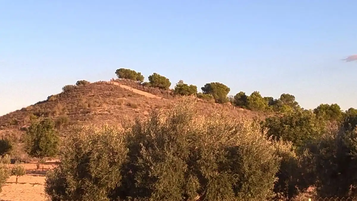Finca rústica en venta en Alcantarilla