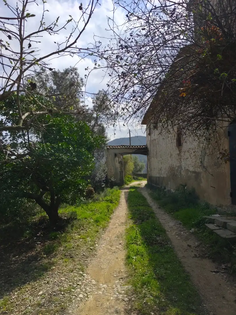 Vista exterior de Finca rústica en venda en Corbera de Llobregat amb Jardí privat