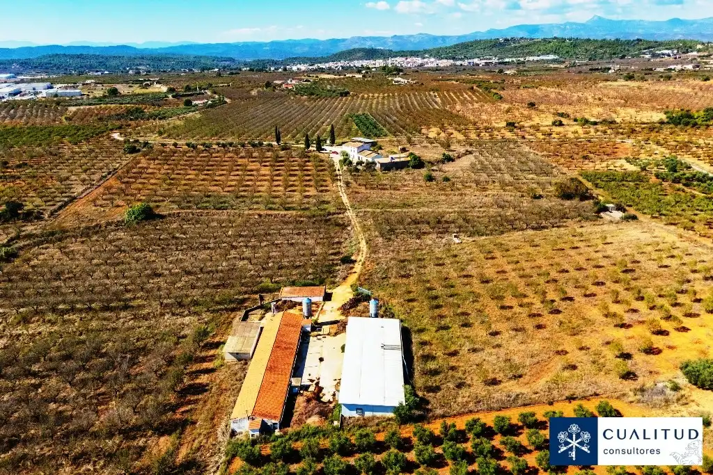Terreny rústic en venda a Vall d'Alba, imagen 7