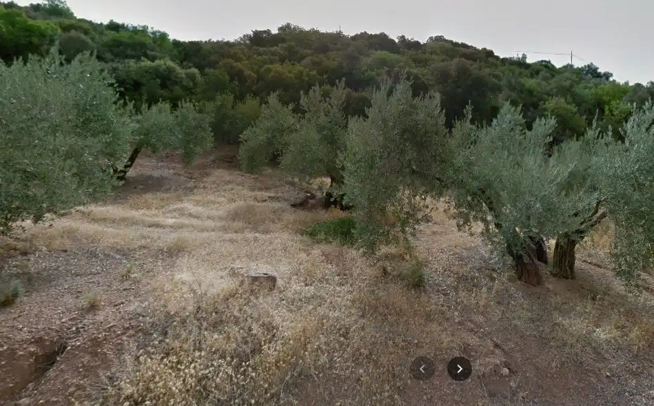 Terreni e lotti in vendita a Martos, imagen 4