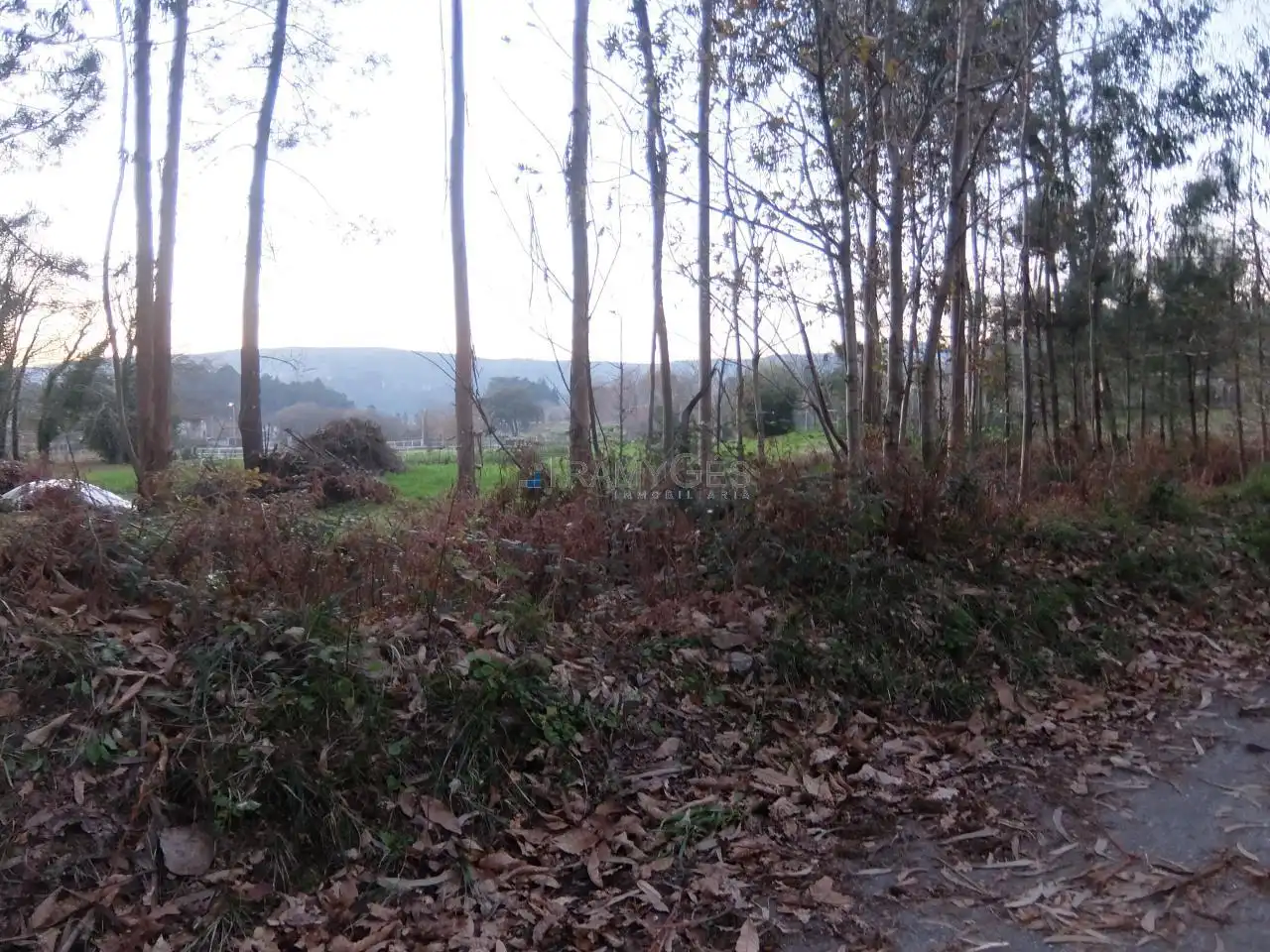 Terreny residencial en venda a Tomiño, imagen 7