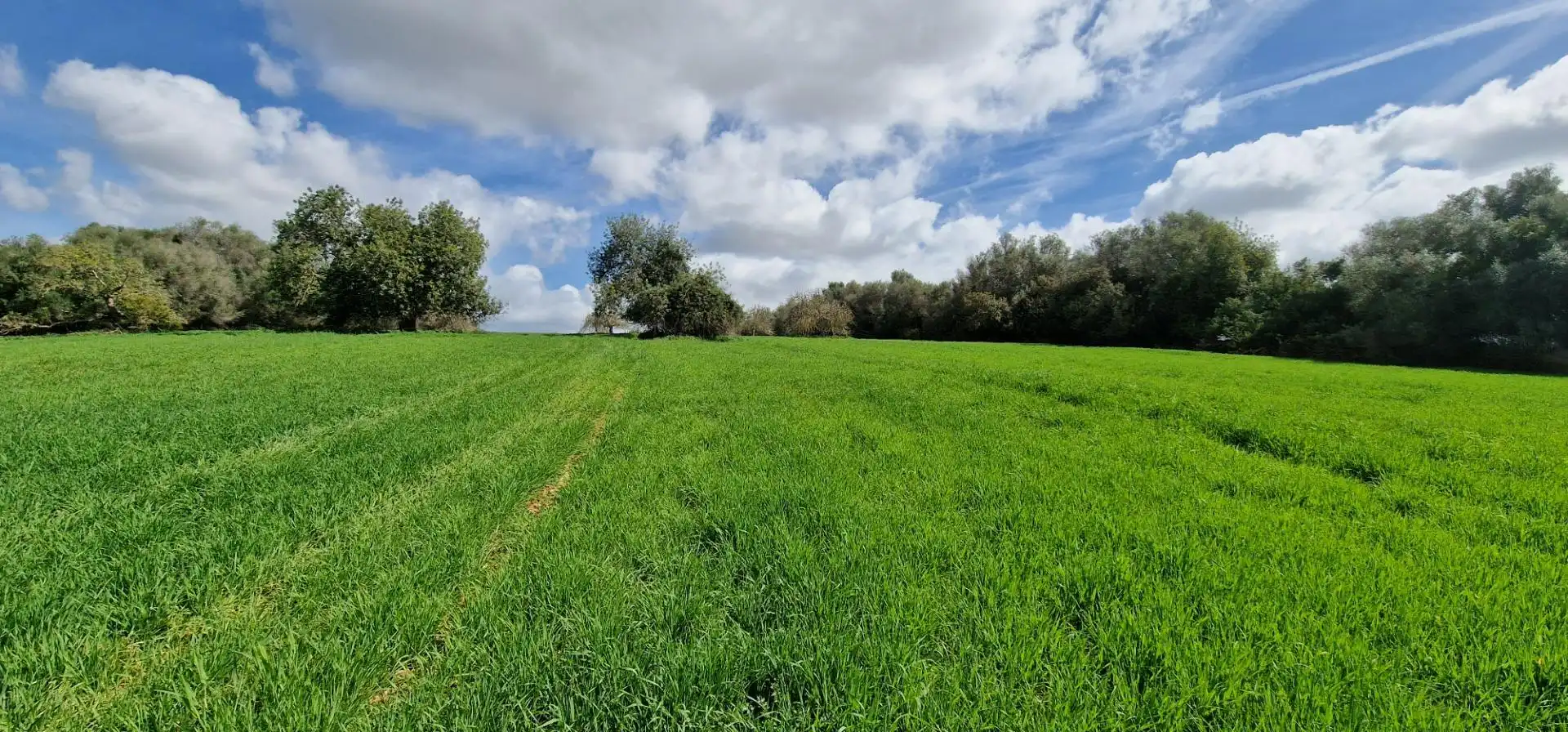 Country homes for sale in Manacor