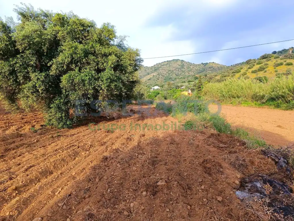 Terrenys i solars en venda a Partida Llano Comisario, imagen 7
