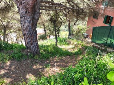 Terreno rustico in vendita a Vallromanes