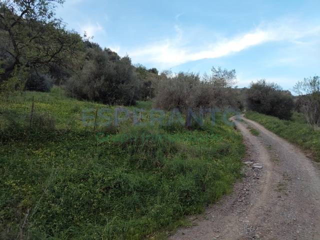 Terreno en Venta en Totalán