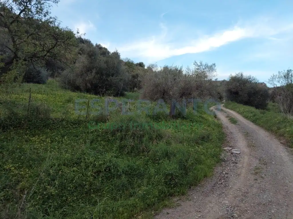 Terreni e lotti in vendita a Totalán, imagen 4