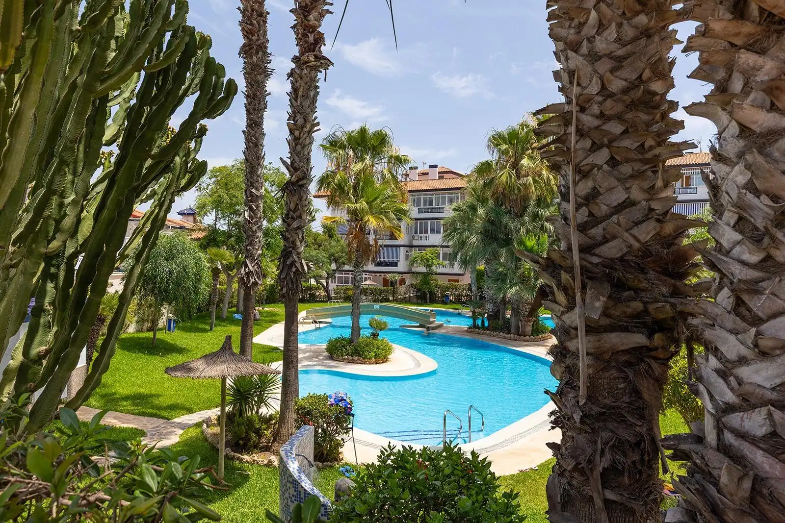 Reihenhaus mit Terrasse zum Verkauf in La Mata, imagen 4