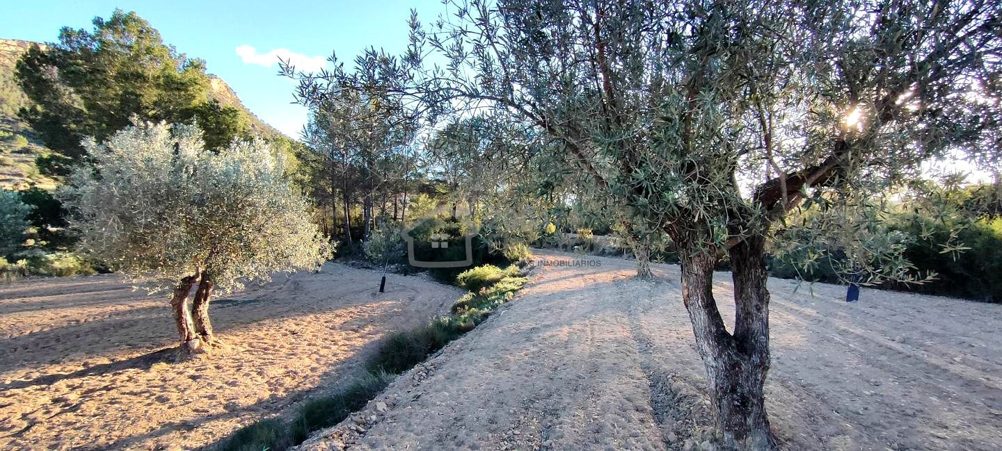 Garden of Land for sale in Relleu