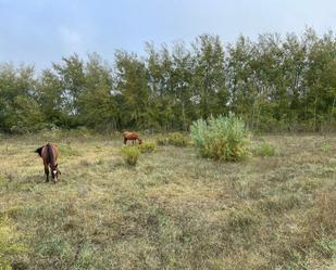 Finca rústica en venda en Bollullos Par del Condado