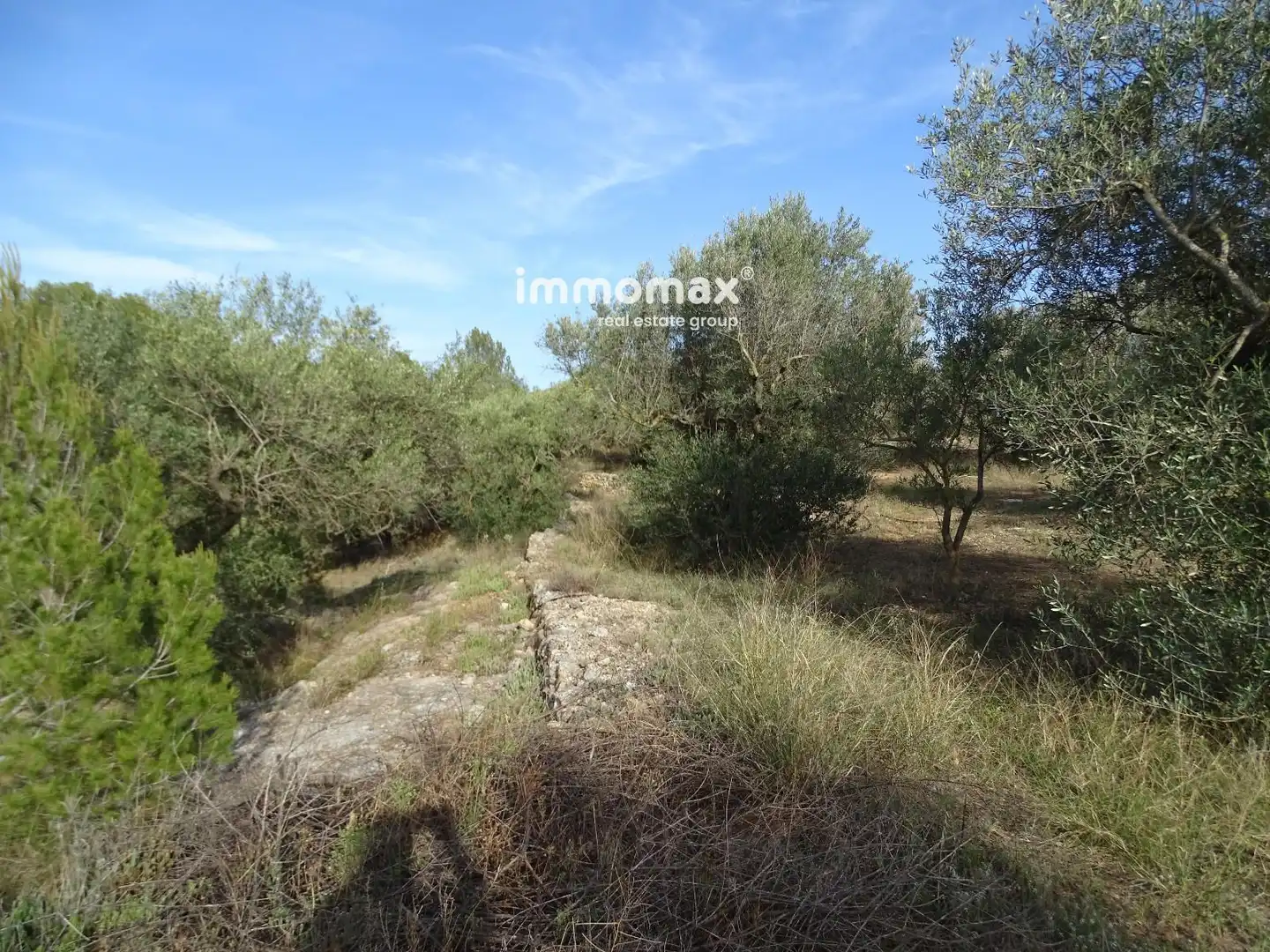Terrain rustique à vendre à 11, imagen 3