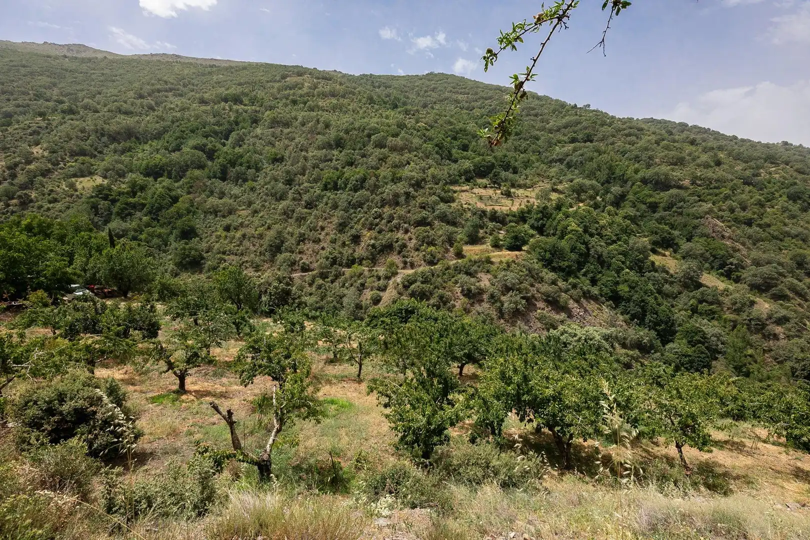 Terreni e lotti in vendita a Majadillas, imagen 42