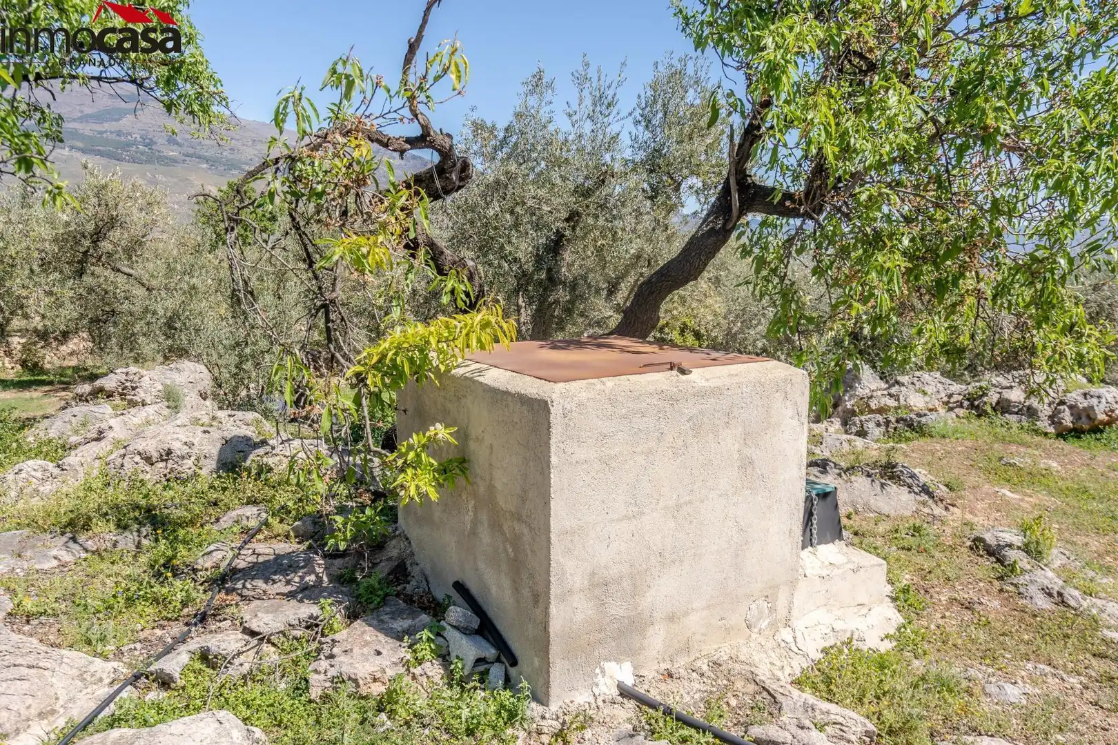 Land for sale in Lúcar