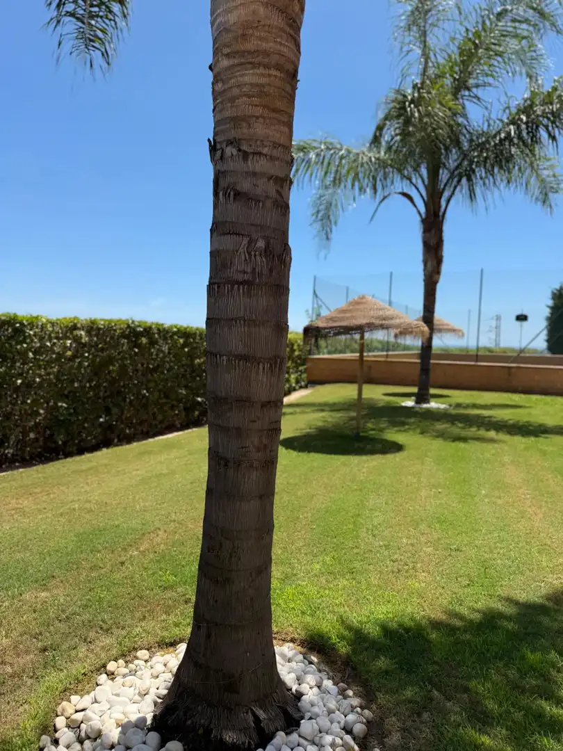 Jardí de Pis en venda en Rincón de la Victoria amb Aire condicionat, Calefacció i Jardí privat