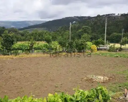 House for sale in Avenida Paz, imagen 7