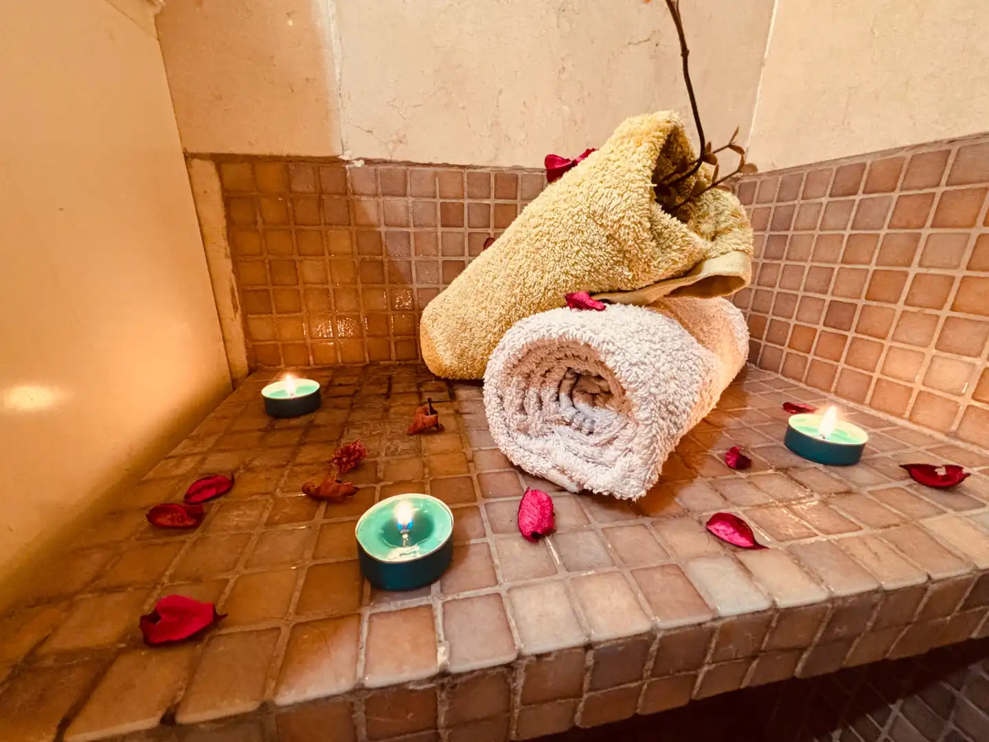 Baño de Casa adosada en venta en Getafe con Aire acondicionado, Calefacción y Jardín privado