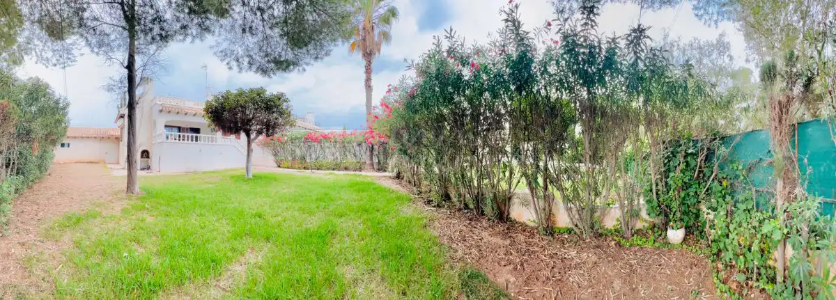 Jardí de Casa o xalet en venda en Orihuela amb Terrassa, Moblat i Balcó