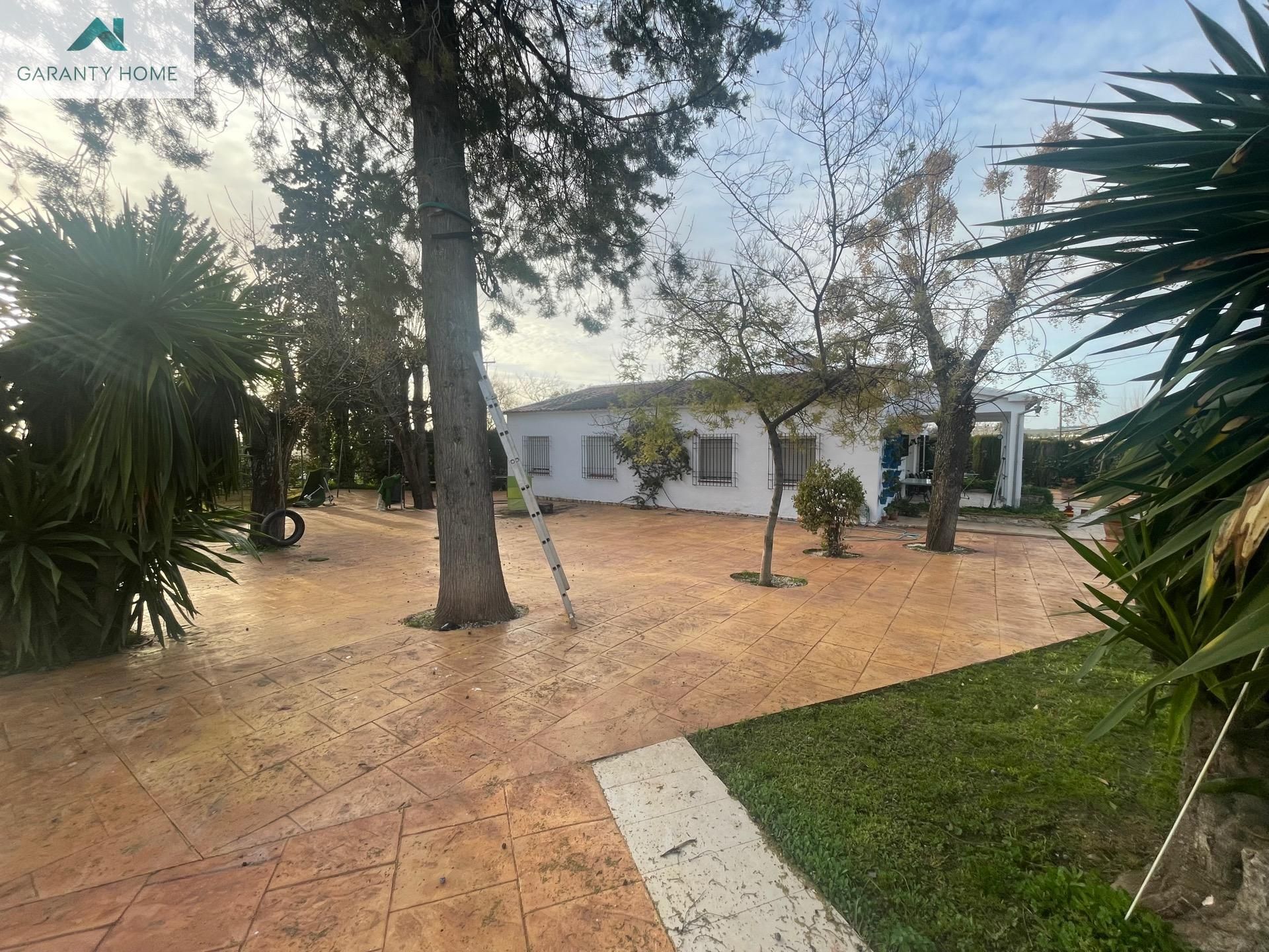 Vista exterior de Casa o xalet en venda en Lucena amb Aire condicionat, Jardí privat i Terrassa