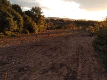 Terreno rústico en venta en C/ Sant Joan 12