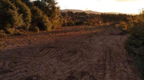 Terreno rústico en venta 