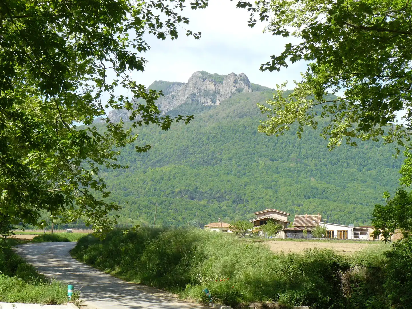 Vista exterior de Finca rústica en venta en Les Preses