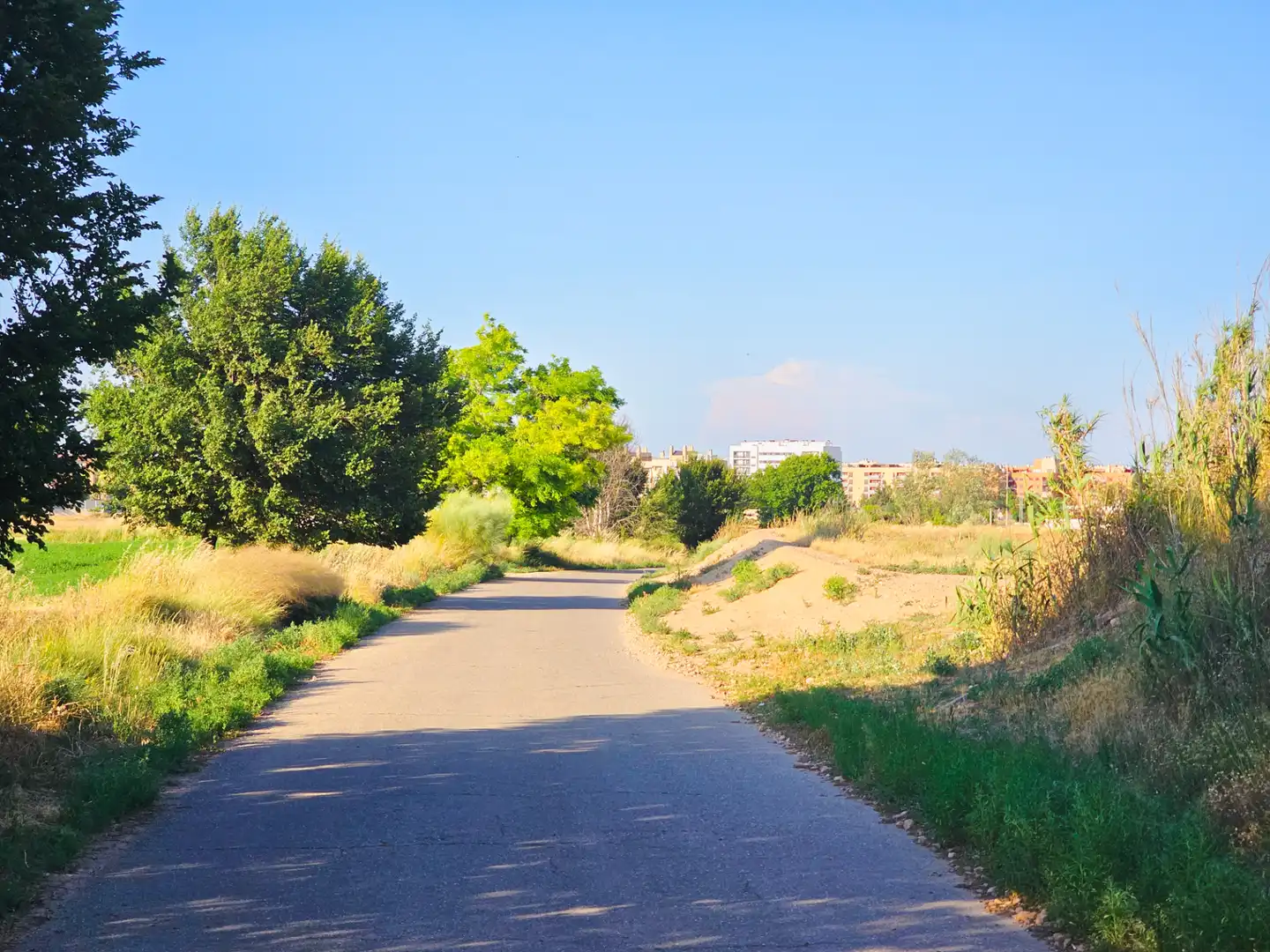 Terreno residencial en venta en Camino de Épila 131, imagen 4