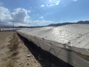 Terreno rustico in vendita a Berja