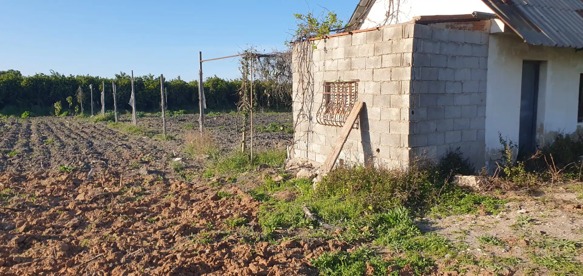 Country homes for sale in Tavernes de la Valldigna