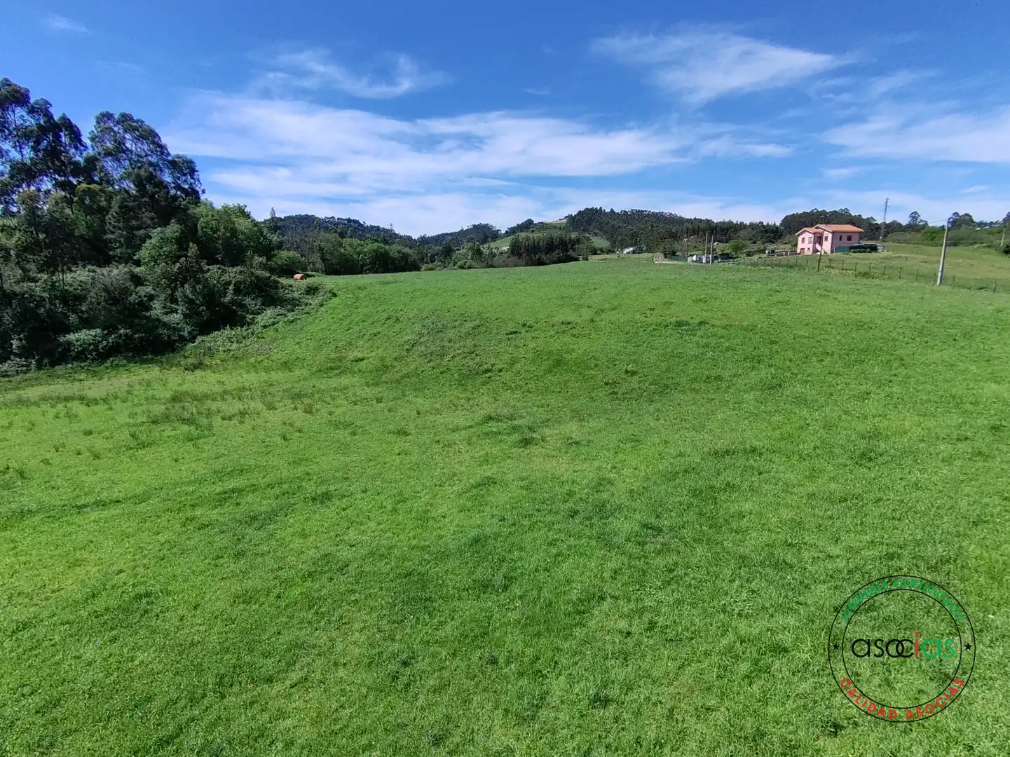 Terreno rustico in vendita a Gijón - CR DE GALLINAL 203, imagen 6