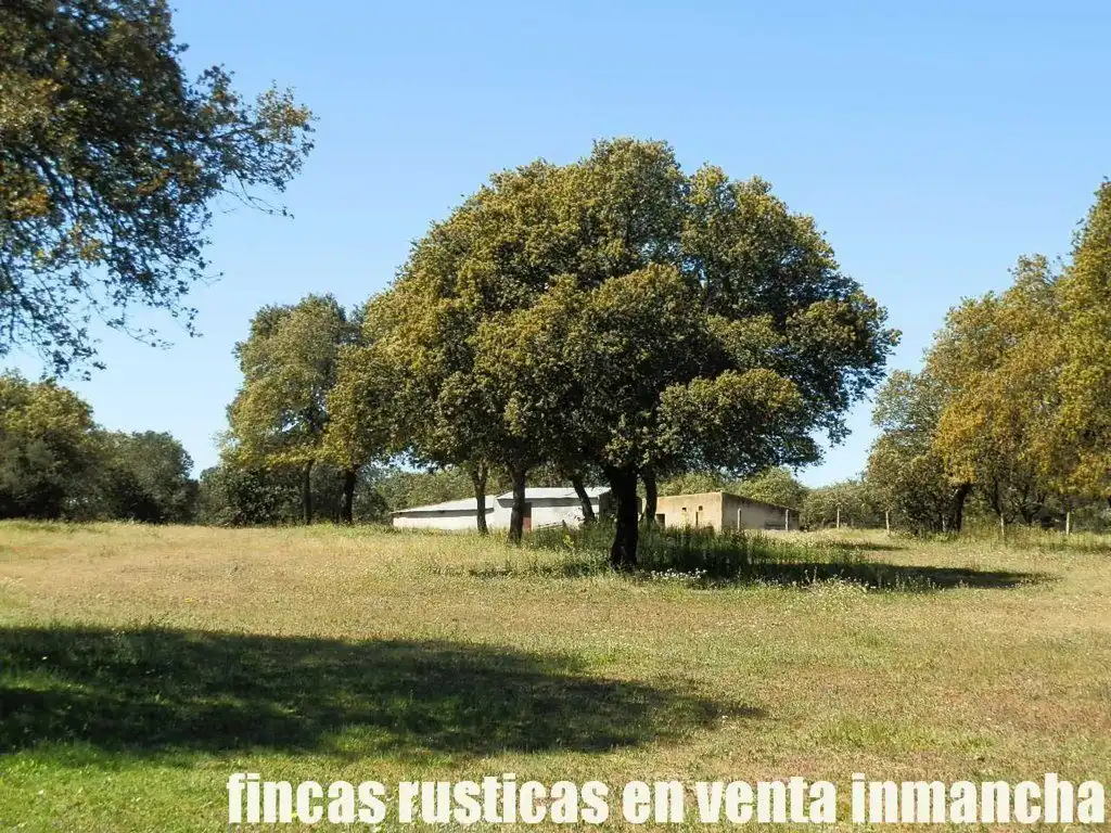 Terreno rustico in vendita a Ciudad Rodrigo, imagen 17