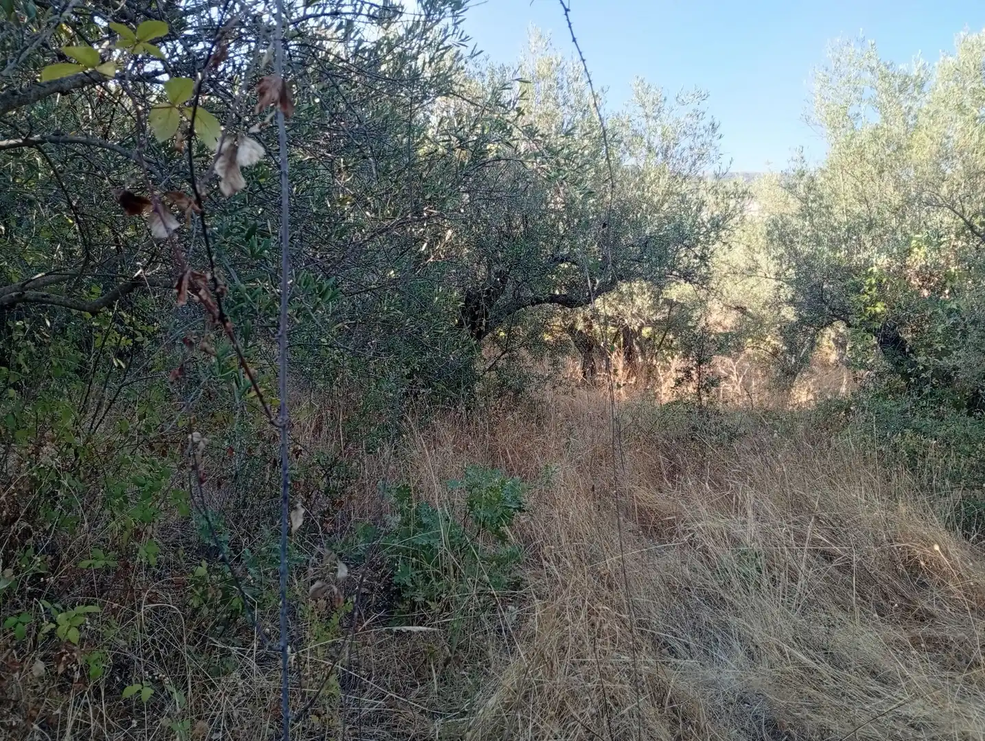 Terreni e lotti in vendita a Villanueva de la Vera, imagen 6