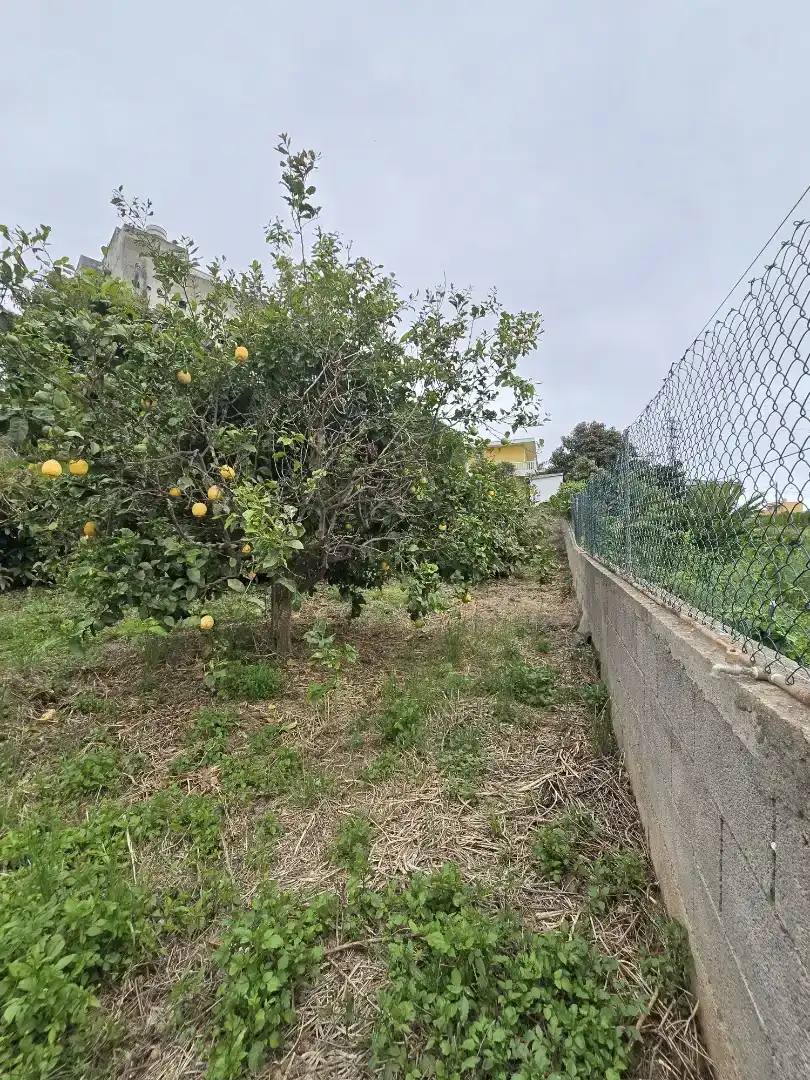 Casa o xalet en venda en Tacoronte amb Balcó