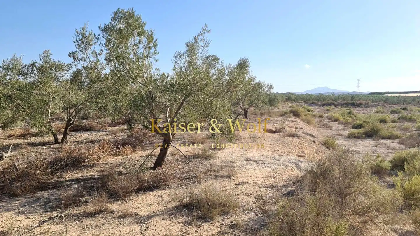 Terrenos y solares en venta en Monforte del Cid, imagen 4