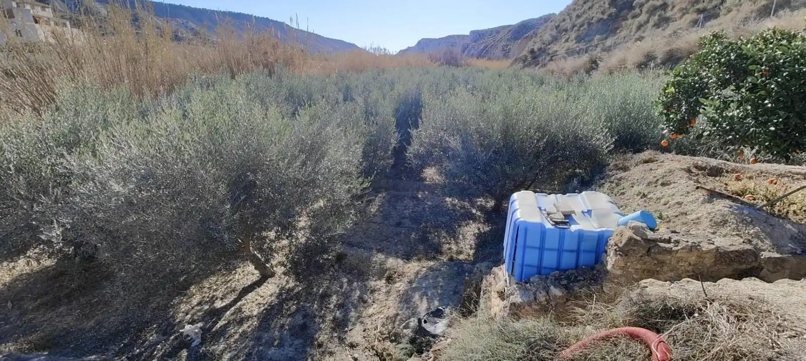Lands and plots for sale in Mula, imagen 2
