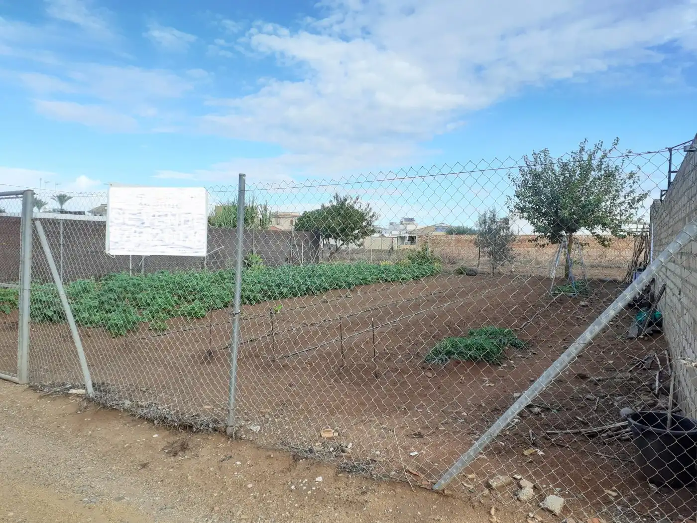 Terreno rustico in vendita a La Laguna, imagen 3