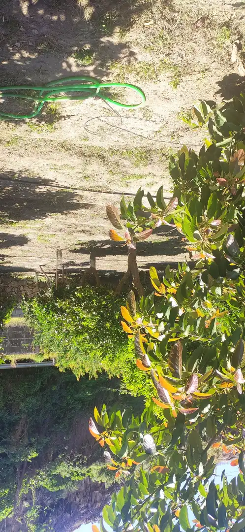 Grundstücke zur Miete in Calle Vélez de Benaudalla, Motril ciudad