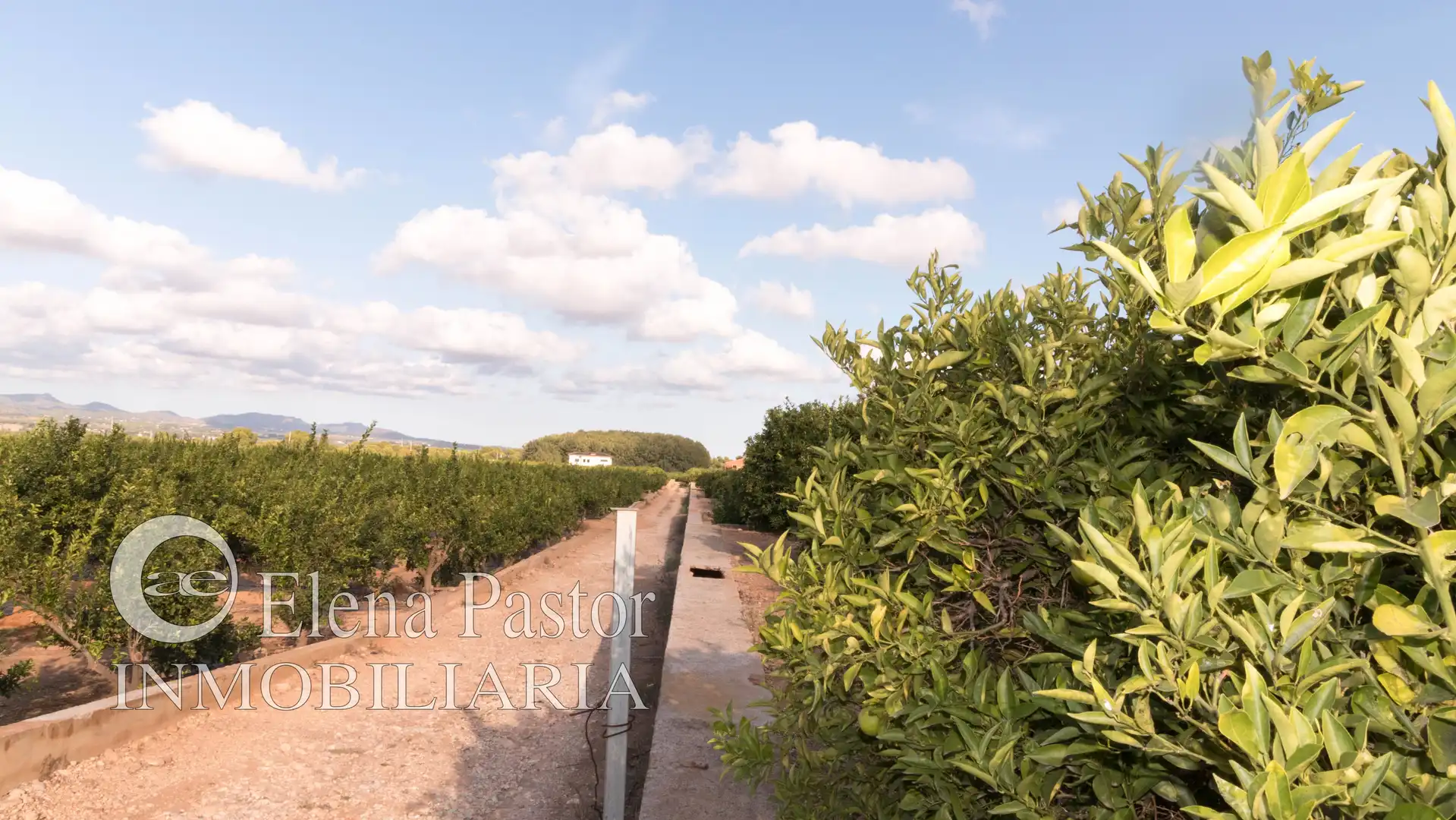 Rural land for sale in Carrer Senda La Pobla, imagen 4
