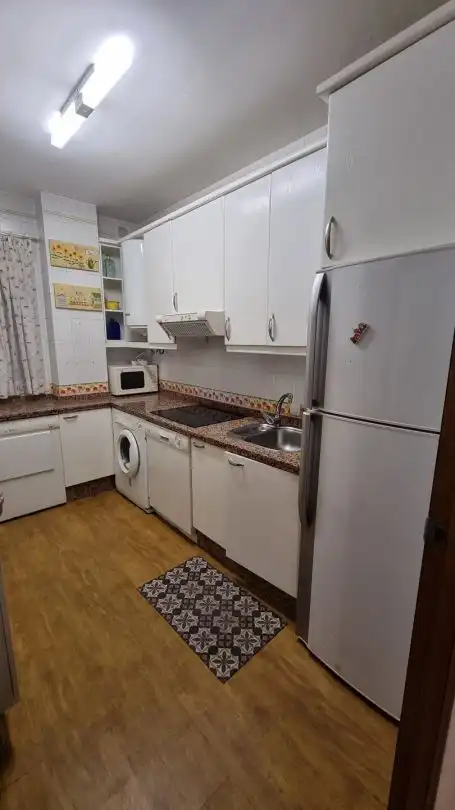 Cuina de Apartament de lloguer en Poniente-Sur