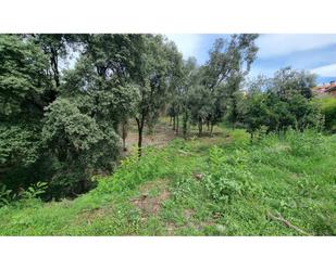 Industrial land for sale in Cànoves I Samalús
