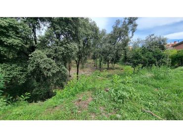 Terreno residencial en venta en Calle Tórtora 145