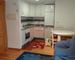 Kitchen of Study to rent in Ourense Capital 