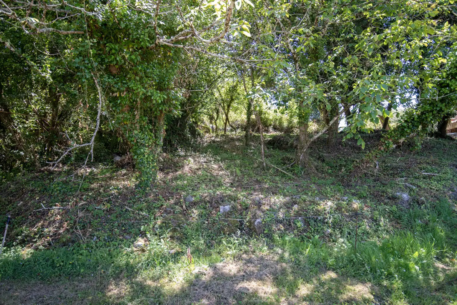 Terreno en venta en Villaviciosa