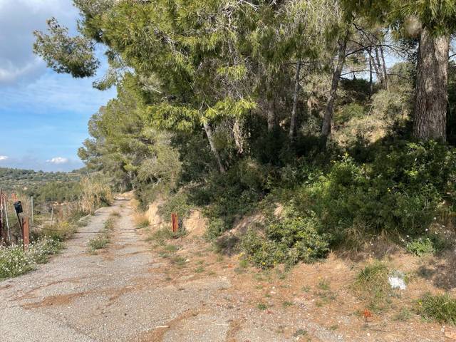 Terreno en Venta en Castellbisbal