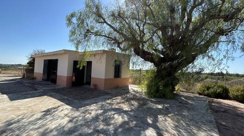 Photo 4 of Land for sale in Monte Real, Torrent