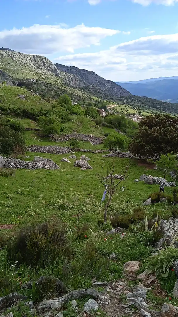 Terrain rustique à vendre à Benaocaz, imagen 12