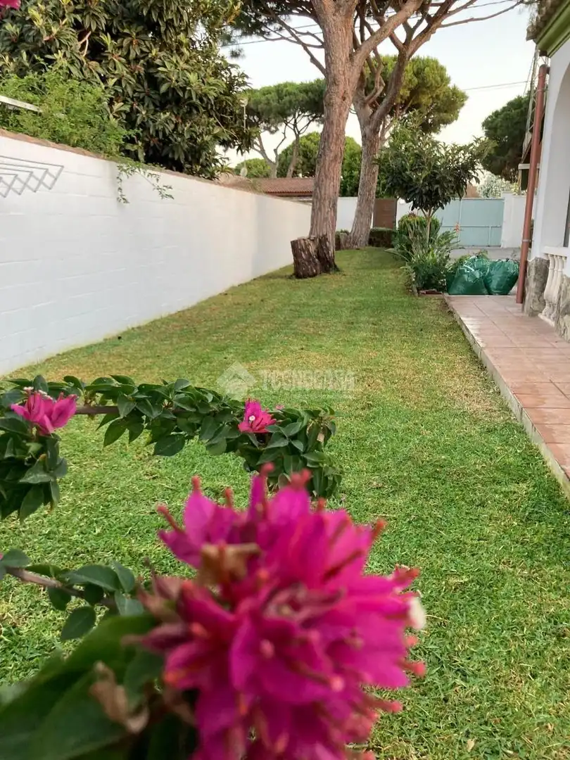 Jardí de Casa o xalet en venda en Chiclana de la Frontera