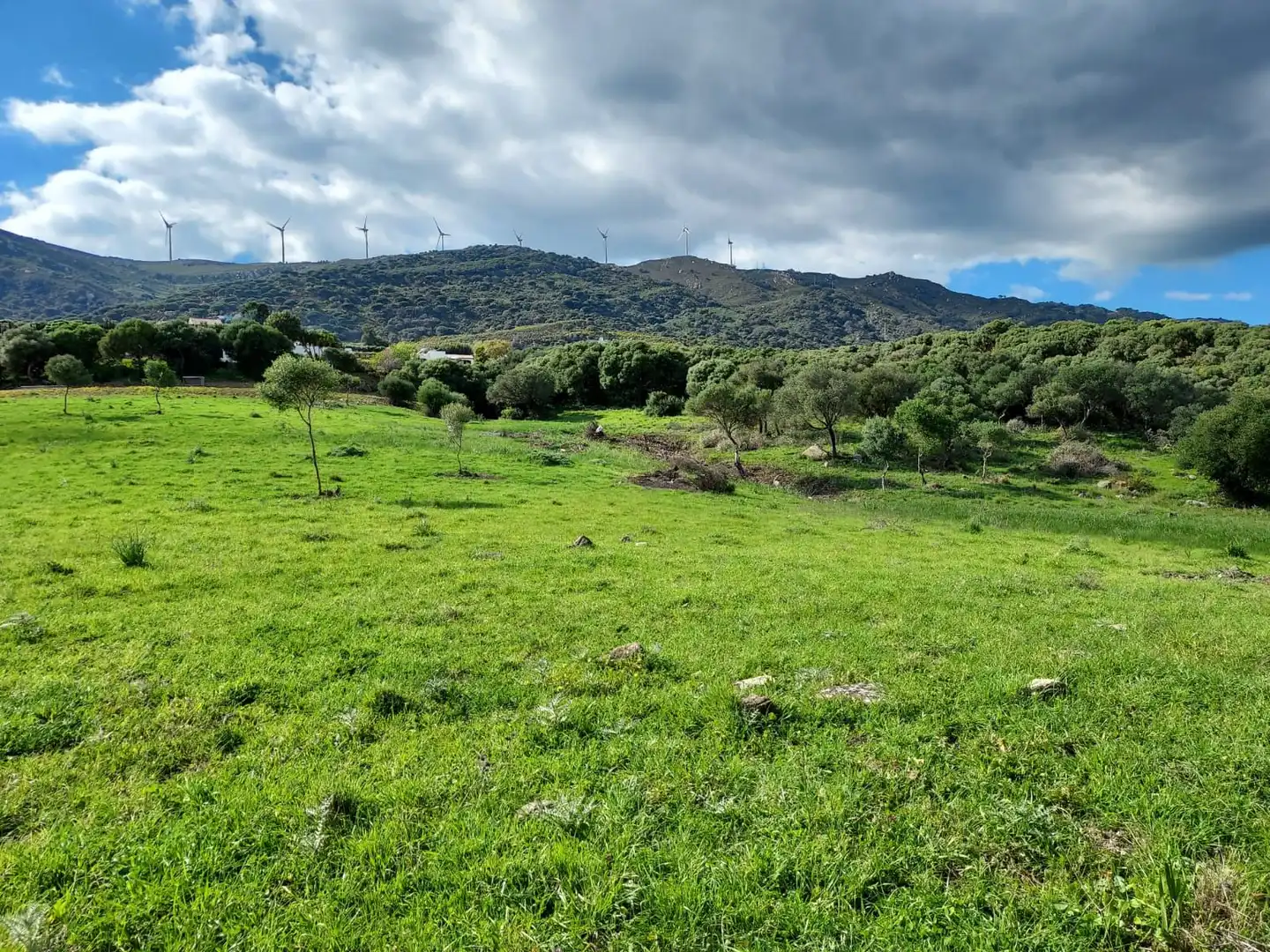 Terreni e lotti in vendita a Tarifa ciudad, imagen 22