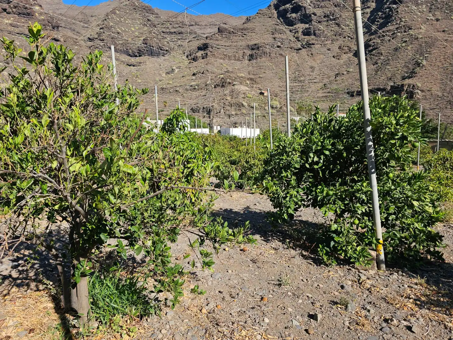 Vista exterior de Finca rústica en venta en La Aldea de San Nicolás  con Jardín privado, Terraza y Trastero