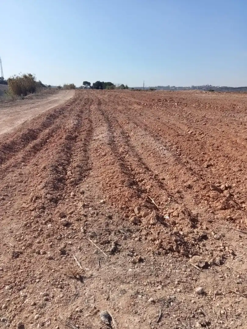 Terreno rustico in vendita a N-240 820, imagen 3